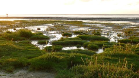 Sylt – Die Königin der Nordsee